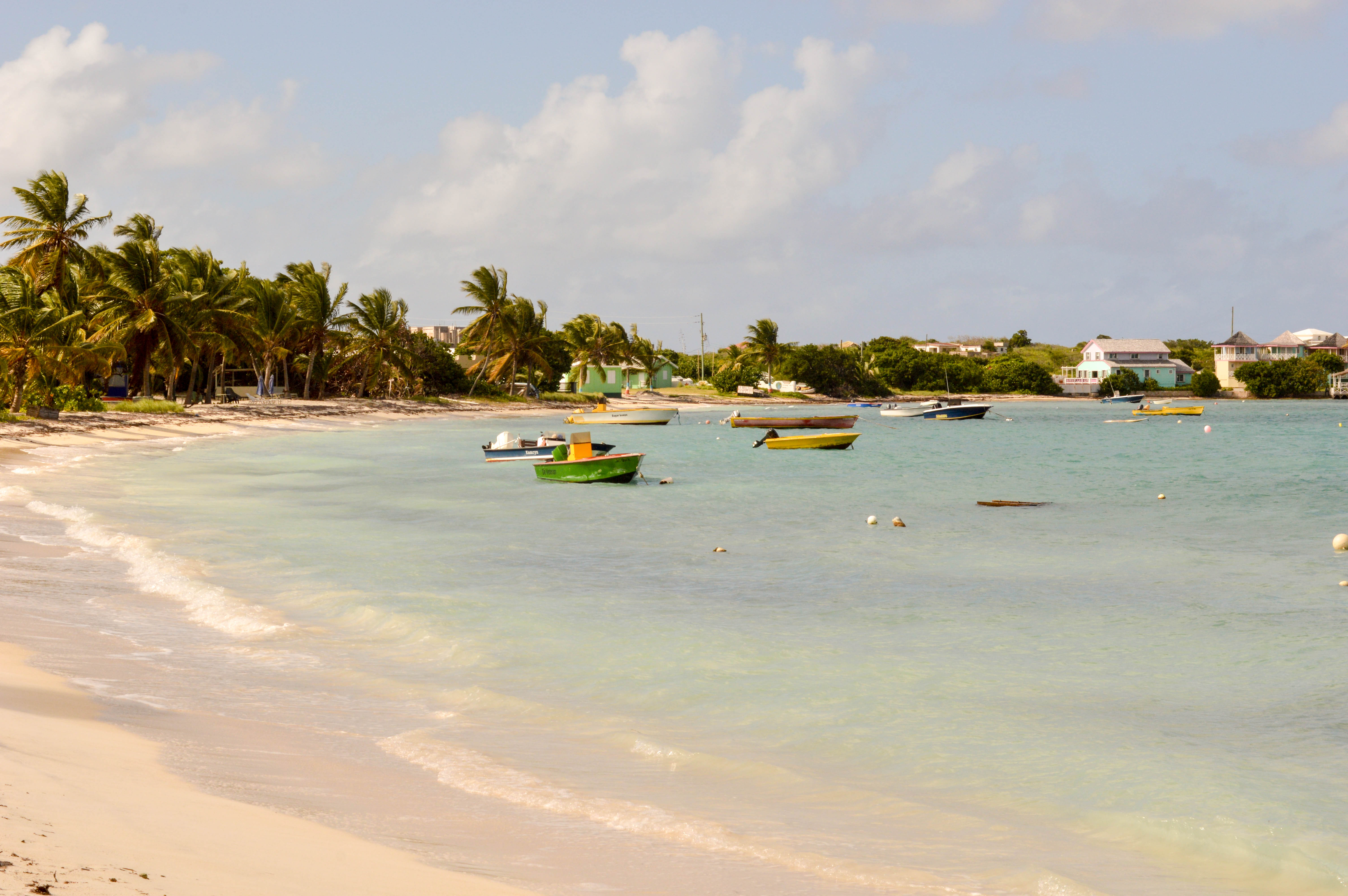 Christmas in Anguilla - Taylor Augusta